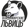 Владимирские львицы-ВЛГУ
